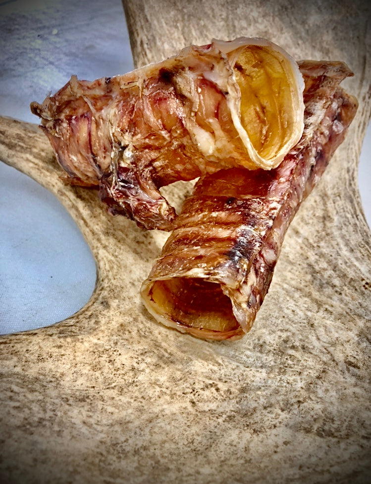 Beef Trachea L/XL