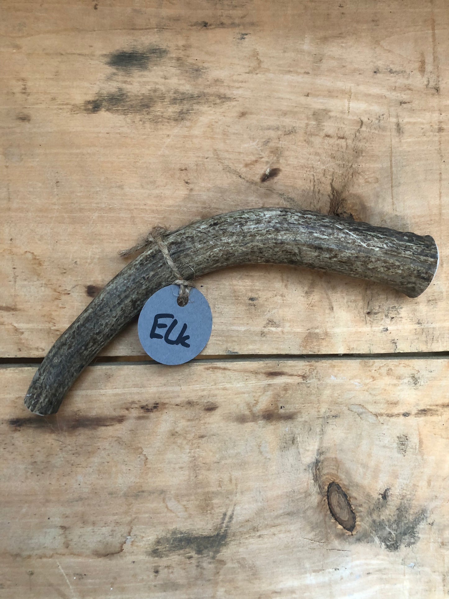 Elk Antler Medium