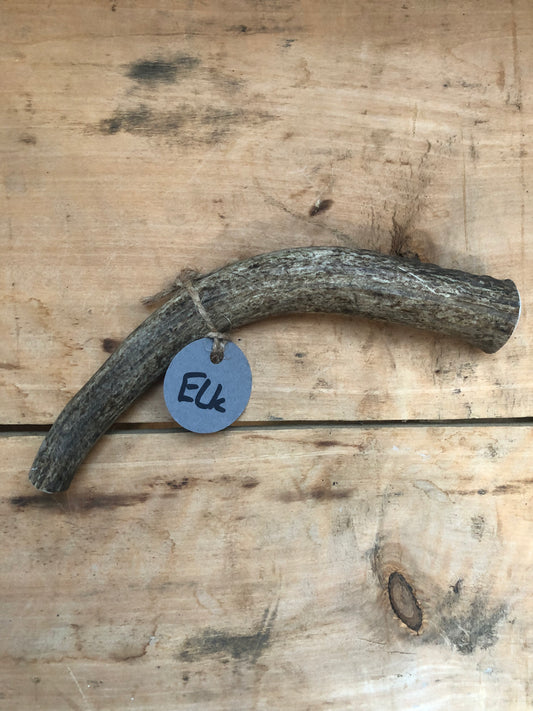 Elk Antler Medium